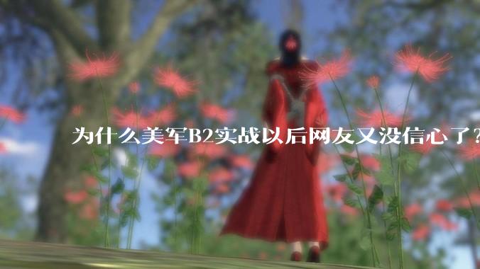 为什么美军B2实战以后网友又没信心了？