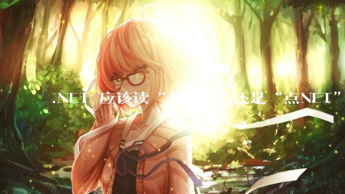 .NET 应该读“刀NET”还是“点NET”？