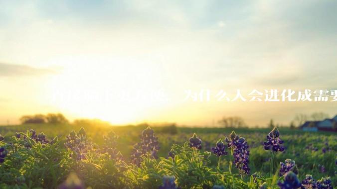 直接躺下更方便，为什么人会进化成需要枕头？