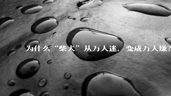 为什么“柴犬”从万人迷，变成万人嫌？
