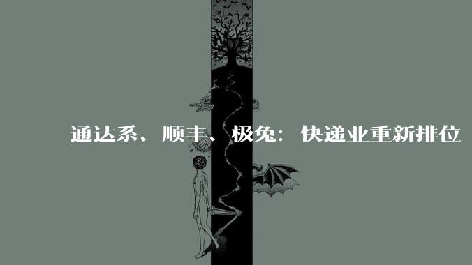 通达系、顺丰、极兔：快递业重新排位 - *