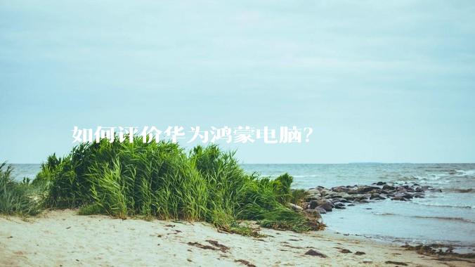 如何评价华为鸿蒙电脑？