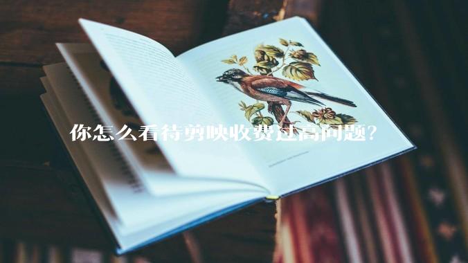 你怎么看待剪映收费过高问题？