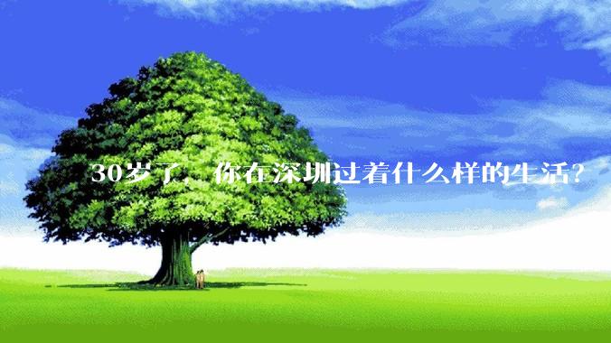 30岁了，你在深圳过着什么样的生活？