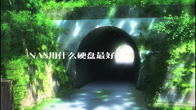 NAS用什么硬盘最好？？