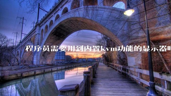 程序员需要用到内置kvm功能的显示器吗？或者是外置的kvm切换器吗？