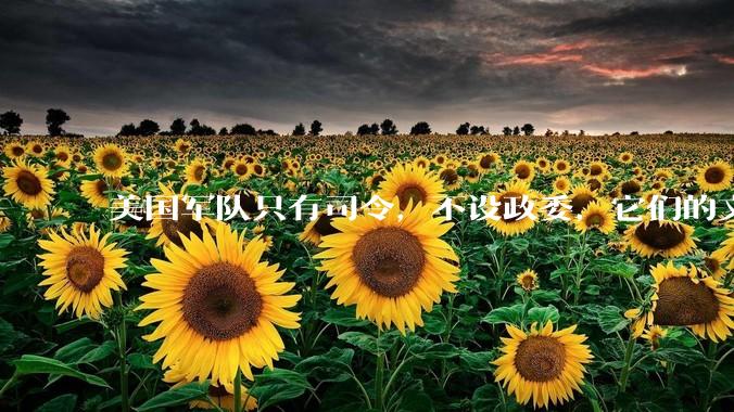 美国军队只有司令，不设政委，它们的文官治军咋实现的？
