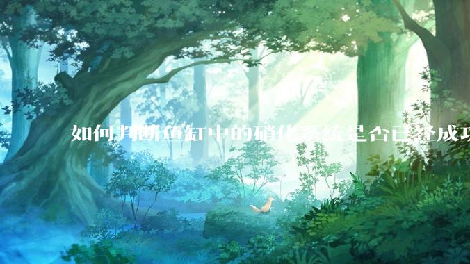 如何判断鱼缸中的硝化系统是否已经成功建立？