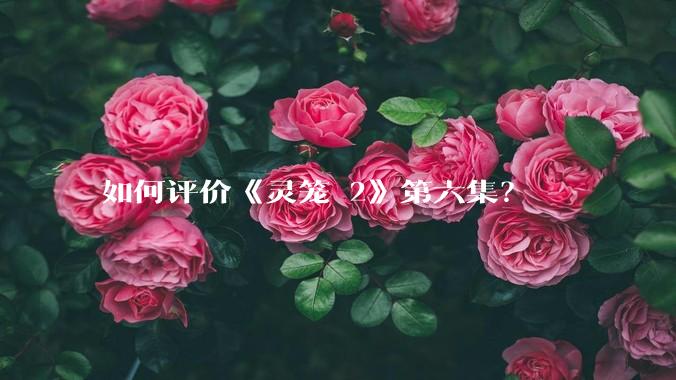如何评价《灵笼 2》第六集？
